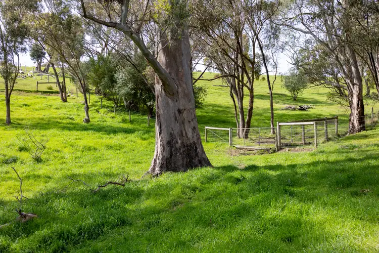 Seventh view of Homely rural property listing, Lot/26 Upper Penneys Hill Road, Onkaparinga Hills SA 5163