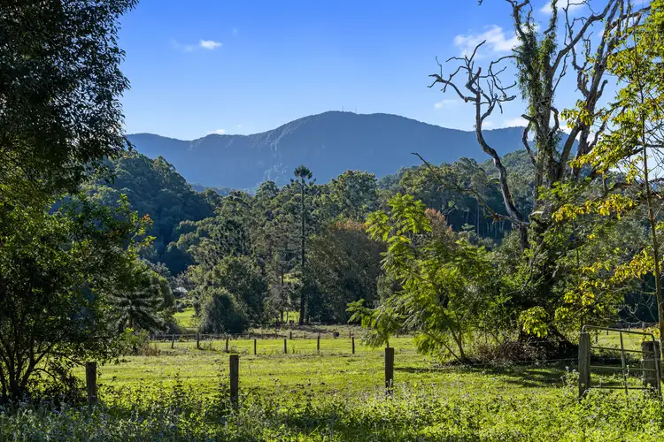 342 Upper Crystal Creek Road, Upper Crystal Creek NSW 2484