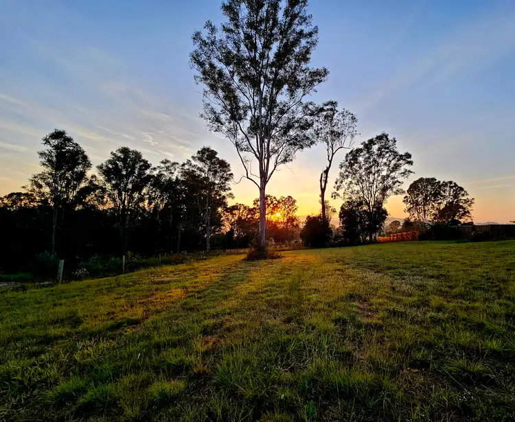 44 McIntosh Creek Road, Jones Hill QLD 4570