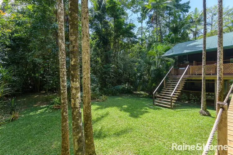 Sixth view of Homely house listing, 3198 Mossman Daintree Road, Daintree QLD 4873