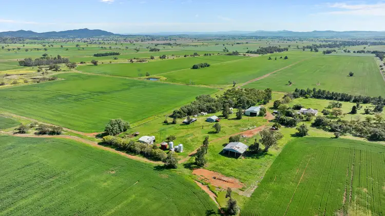 Third view of Homely rural property listing, "Macumba" 238 Macumba Lane, Tamworth NSW 2340