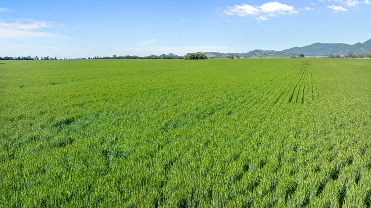 Fourth view of Homely rural property listing, "Macumba" 238 Macumba Lane, Tamworth NSW 2340