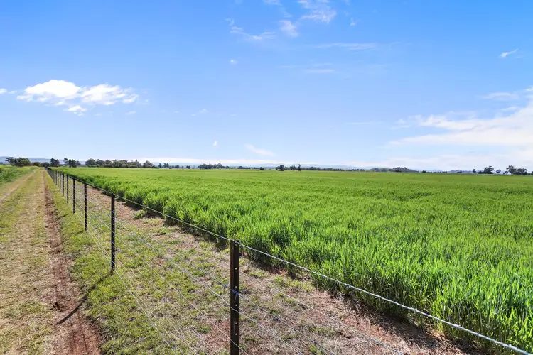 Sixth view of Homely rural property listing, "Macumba" 238 Macumba Lane, Tamworth NSW 2340