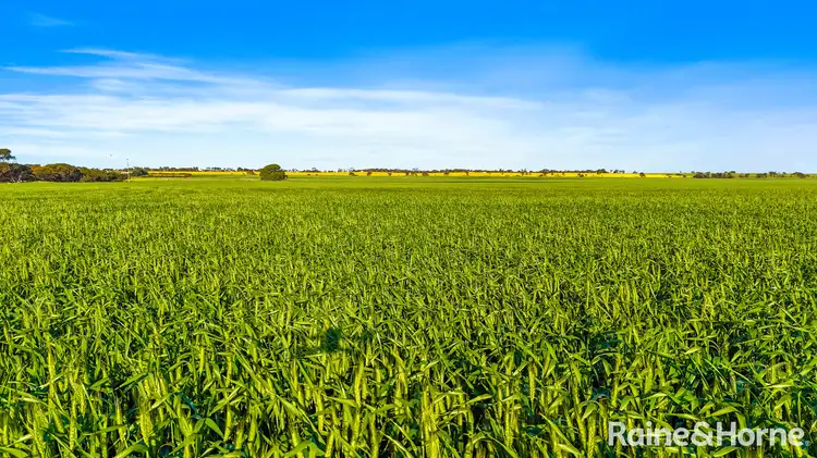 Main view of Homely rural property listing, A41 Dry Plains Road, Strathalbyn SA 5255