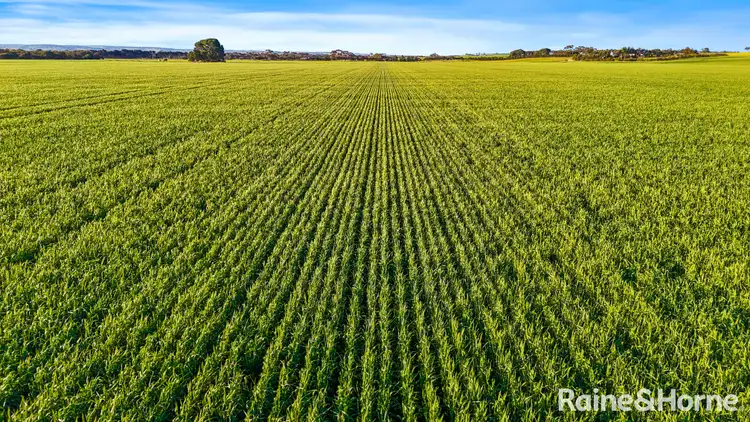 Second view of Homely rural property listing, A41 Dry Plains Road, Strathalbyn SA 5255
