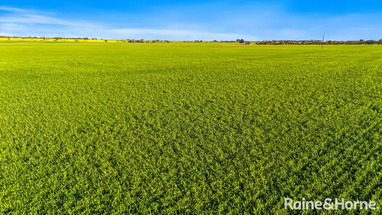 Fifth view of Homely rural property listing, A41 Dry Plains Road, Strathalbyn SA 5255