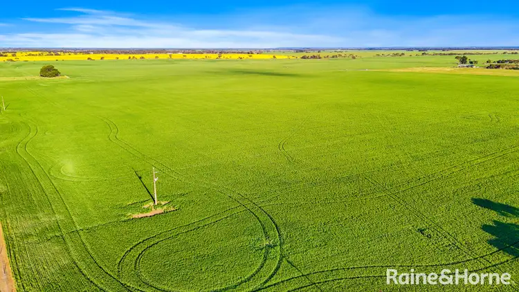 Sixth view of Homely rural property listing, A41 Dry Plains Road, Strathalbyn SA 5255