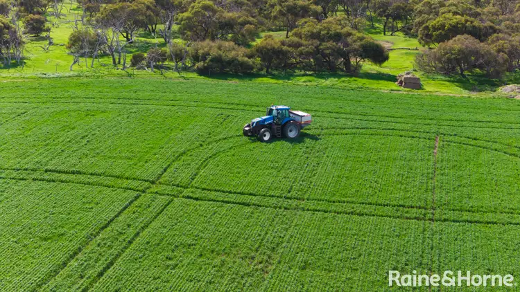 Seventh view of Homely rural property listing, A41 Dry Plains Road, Strathalbyn SA 5255