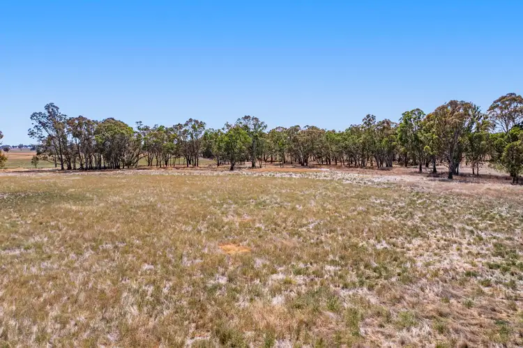 Fifth view of Homely rural property listing, CA 168 Part 821 Barkly - Navarre Road, Navarre VIC 3384