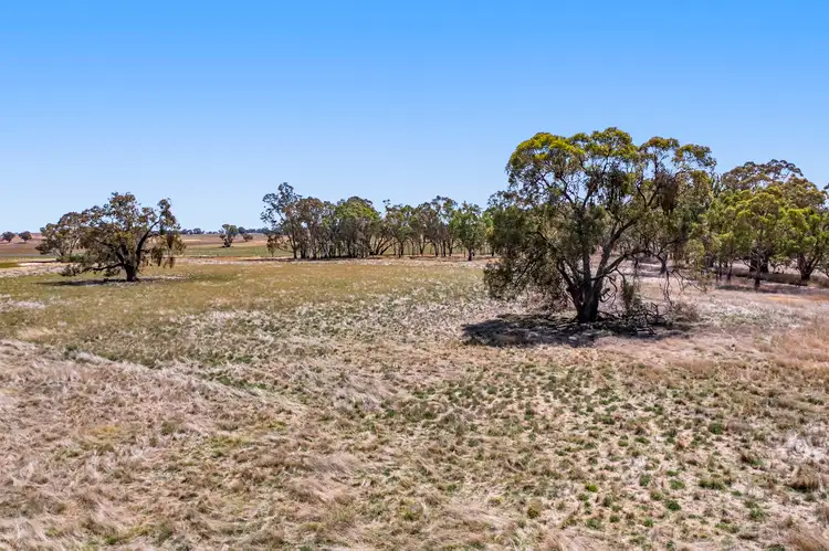 Sixth view of Homely rural property listing, CA 168 Part 821 Barkly - Navarre Road, Navarre VIC 3384