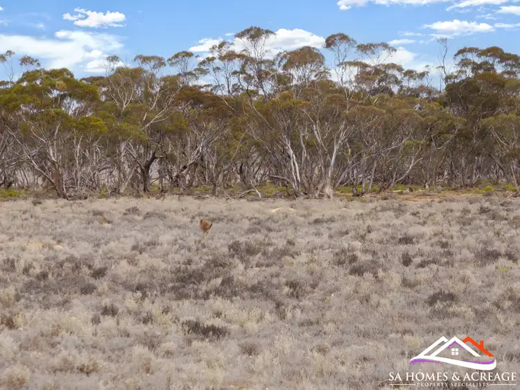 Sixth view of Homely land listing, Section 195 Sandleton Road, Sandleton SA 5356