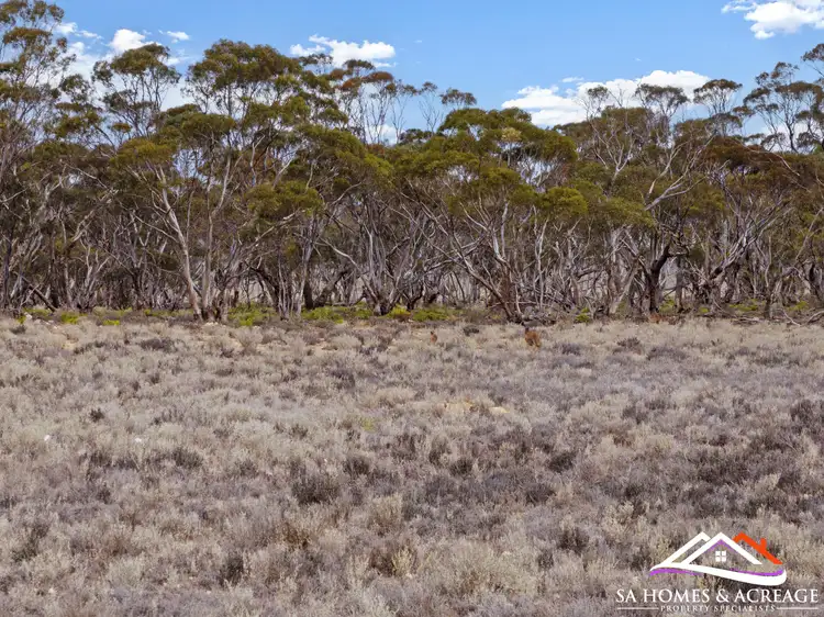 Seventh view of Homely land listing, Section 195 Sandleton Road, Sandleton SA 5356