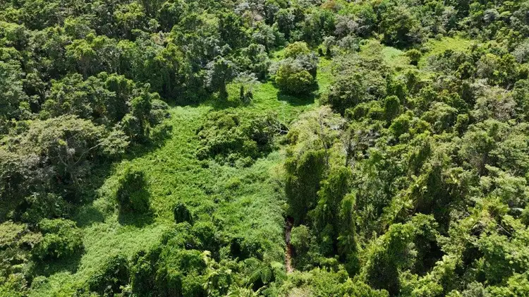 Third view of Homely land listing, Lot 81 Cape Tribulation Road, DIWAN,, Daintree QLD 4873