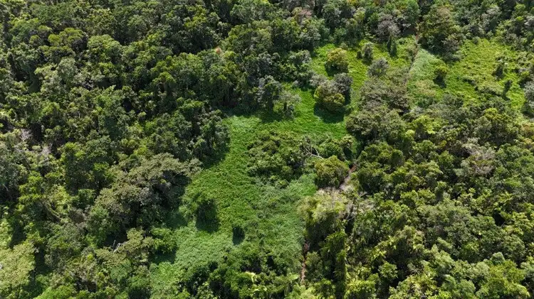 Fifth view of Homely land listing, Lot 81 Cape Tribulation Road, DIWAN,, Daintree QLD 4873