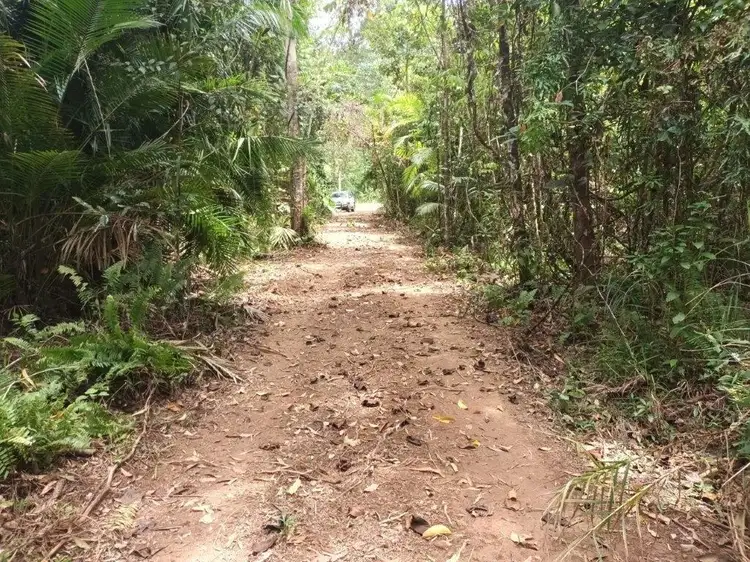 Sixth view of Homely land listing, Lot 81 Cape Tribulation Road, DIWAN,, Daintree QLD 4873