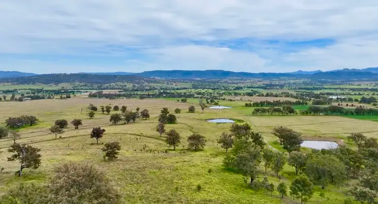 L908, L910, L1 Mareeba Road, Parkville NSW 2337