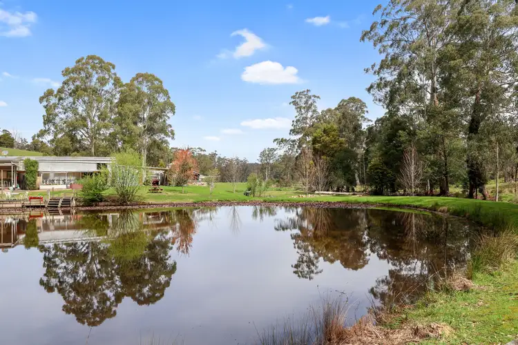 155 Beards Track, Shady Creek VIC 3821