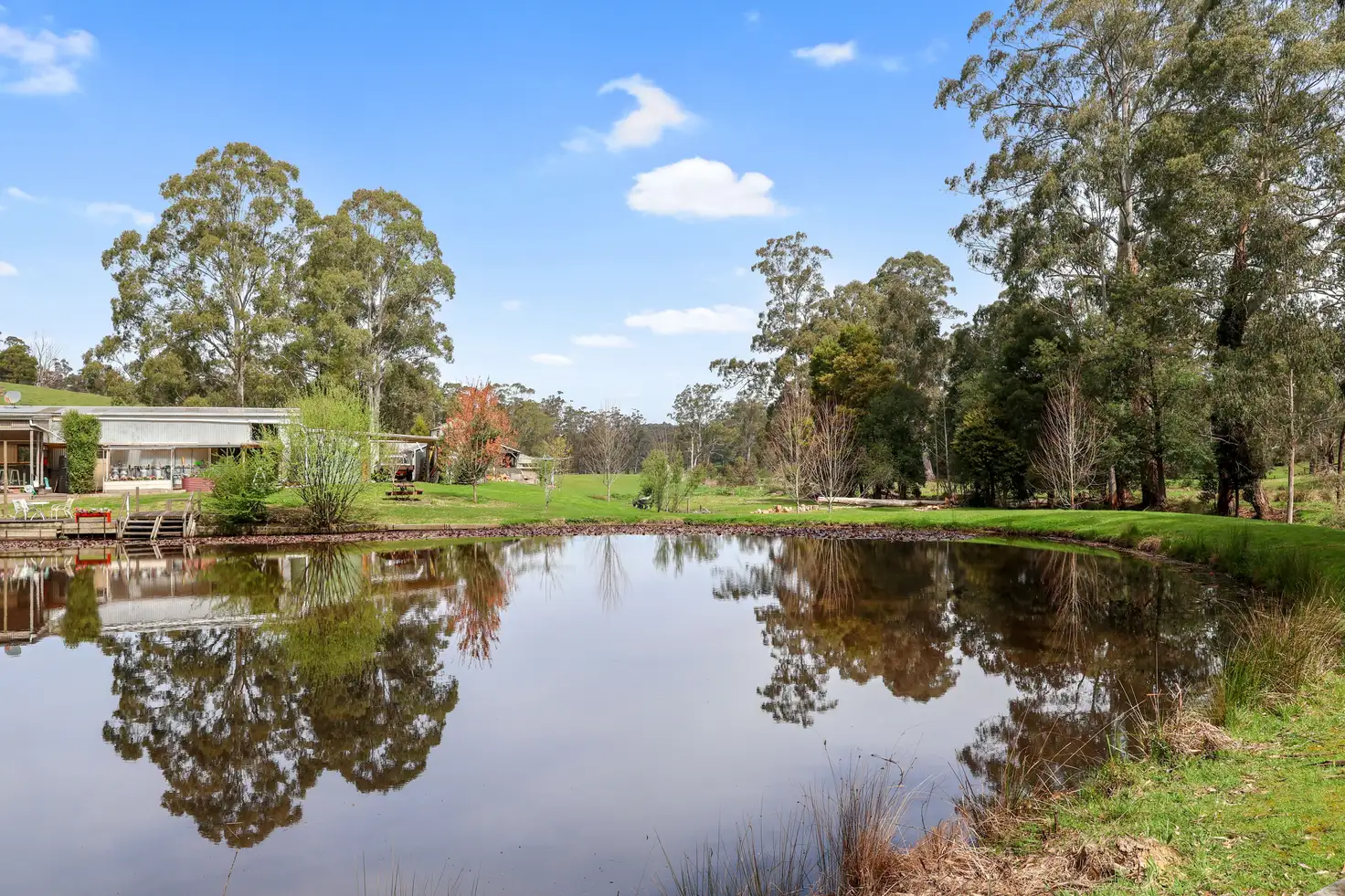 Main view of Homely rural property listing, 155 Beards Track, Shady Creek VIC 3821