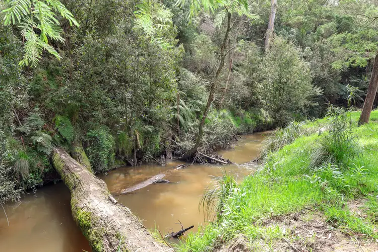 Third view of Homely rural property listing, 155 Beards Track, Shady Creek VIC 3821