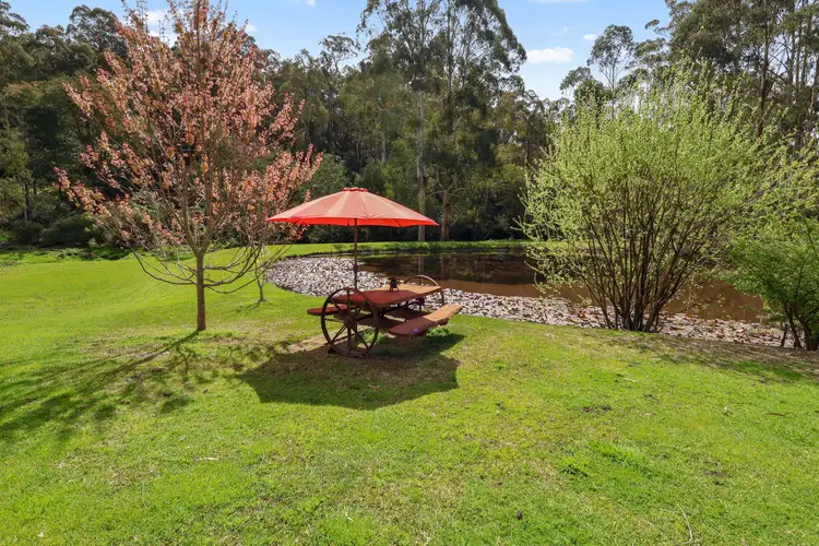 Fourth view of Homely rural property listing, 155 Beards Track, Shady Creek VIC 3821