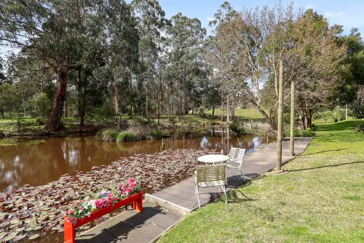 Fifth view of Homely rural property listing, 155 Beards Track, Shady Creek VIC 3821