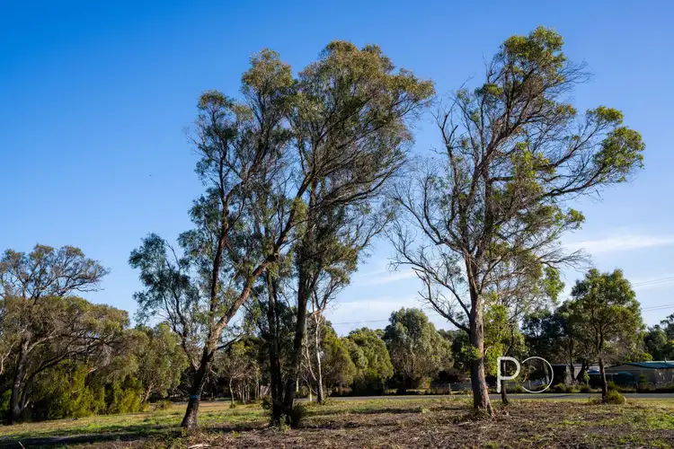 61 Port Hills Road