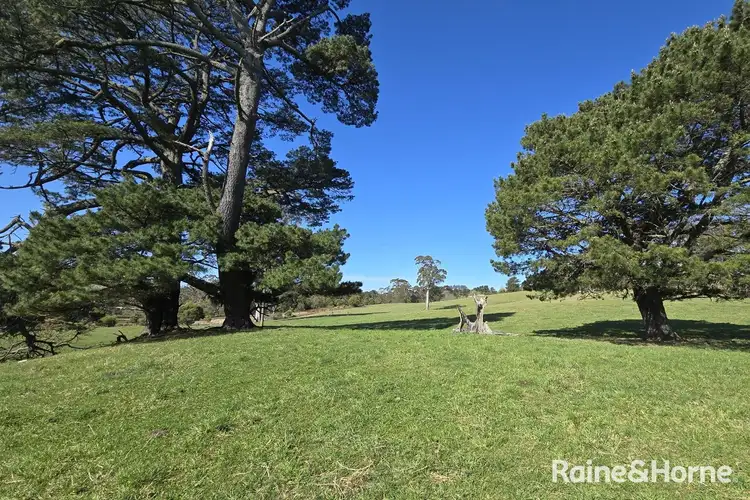 Fifth view of Homely rural property listing, 5442 Illawarra Highway, Burrawang NSW 2577
