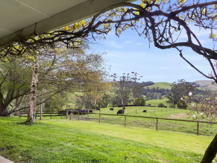 Main view of Homely rural property listing, 226 Wild Dog Road Strzelecki via, Korumburra VIC 3950