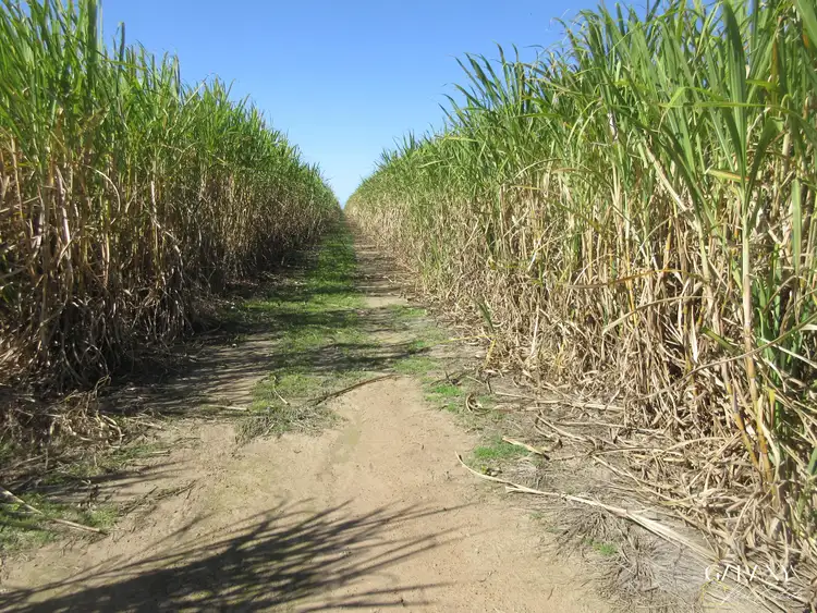 Second view of Homely rural property listing, 394 Lindemans Road, Moore Park Beach QLD 4670