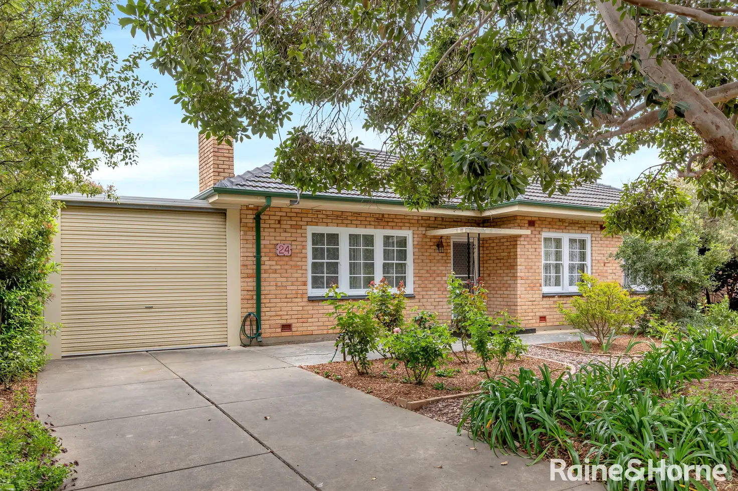 Main view of Homely house listing, 24 Gothic Road, Bellevue Heights SA 5050