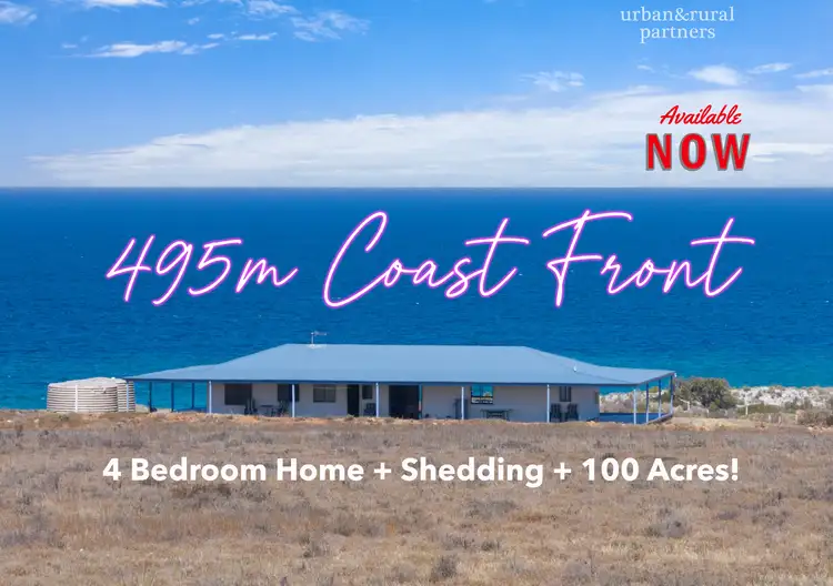 Second view of Homely rural property listing, 531 Bergs Road, Tumby Bay SA 5605