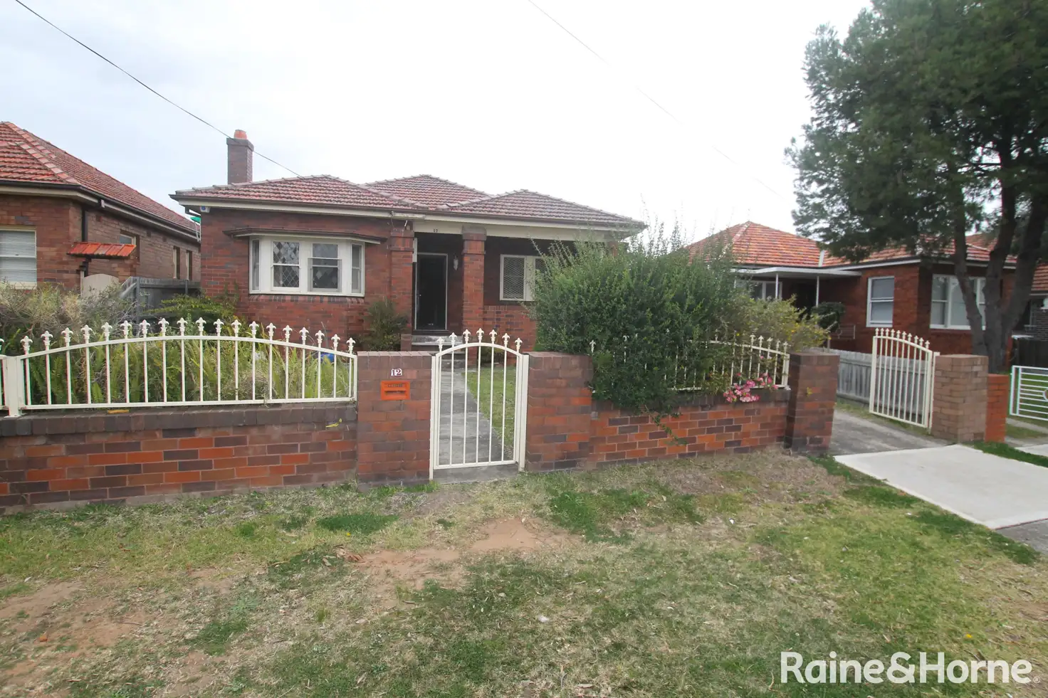 Main view of Homely house listing, 12 Jarrett Street, Clemton Park NSW 2206
