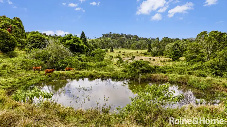 Fourth view of Homely land listing, 55 Hordern Road, Brooloo QLD 4570