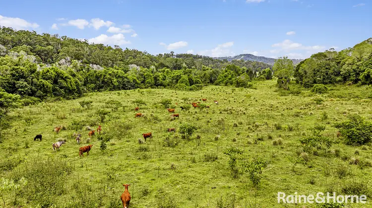 Fifth view of Homely land listing, 55 Hordern Road, Brooloo QLD 4570