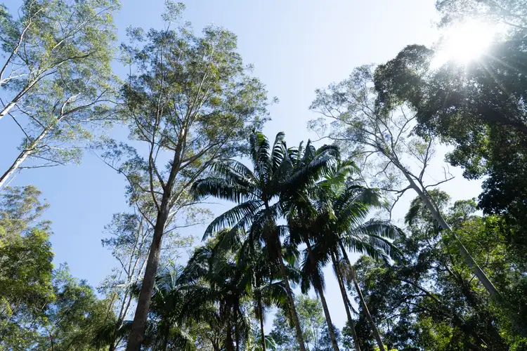 Lot 486 Windermere Road, Sandy Creek QLD 4515