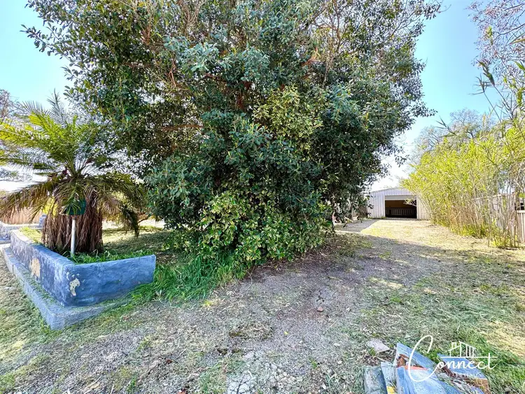 Fourth view of Homely house listing, 6 Millington Street, Northam WA 6401