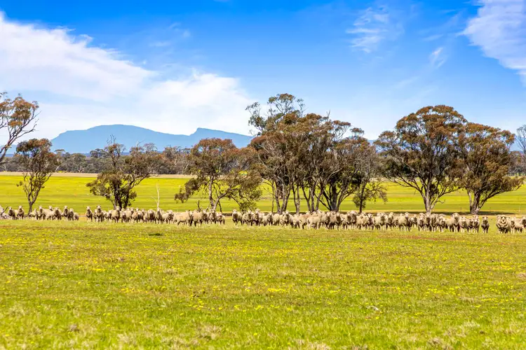 Third view of Homely rural property listing, 140 Pearce Road, Campbells Bridge VIC 3387