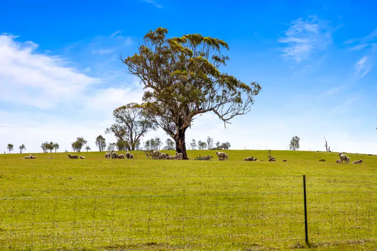 Fourth view of Homely rural property listing, 140 Pearce Road, Campbells Bridge VIC 3387