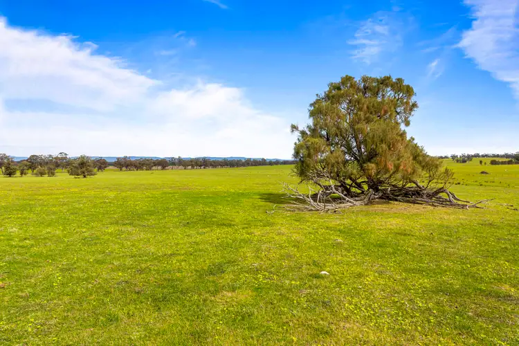 Seventh view of Homely rural property listing, 140 Pearce Road, Campbells Bridge VIC 3387
