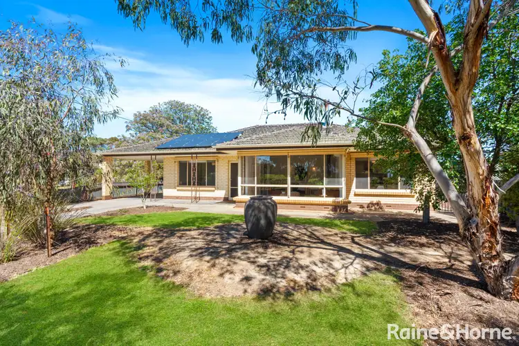 Main view of Homely house listing, 31 Murray Road, Langhorne Creek SA 5255