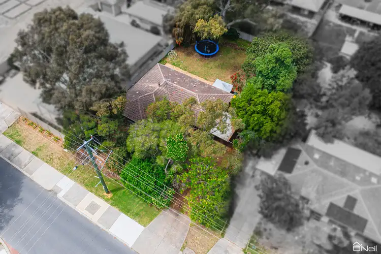 Fourth view of Homely house listing, 34 Gribble Avenue, Armadale WA 6112