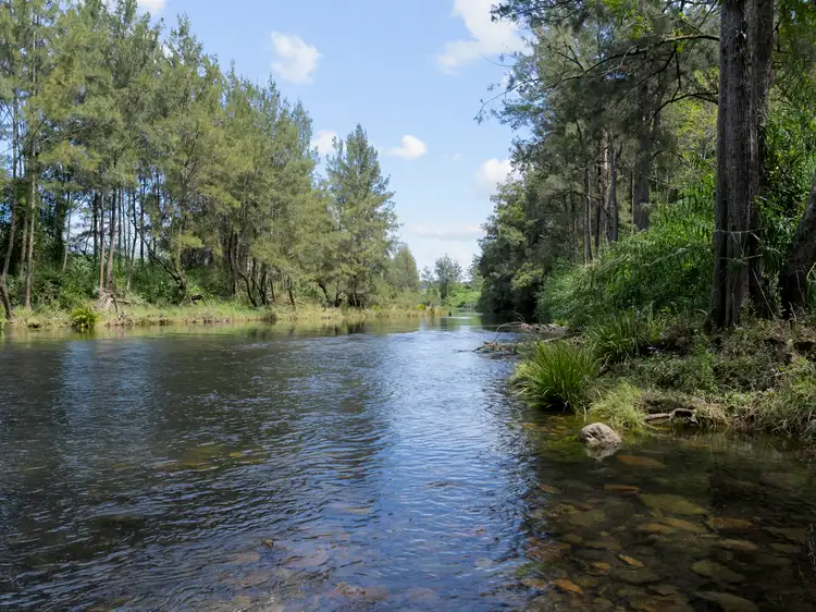 Third view of Homely house listing, 30 McGraths Road, Bellingen NSW 2454