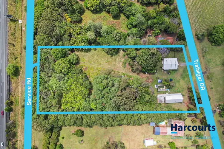 Second view of Homely house listing, 141 Trafalgar Drive, Morayfield QLD 4506