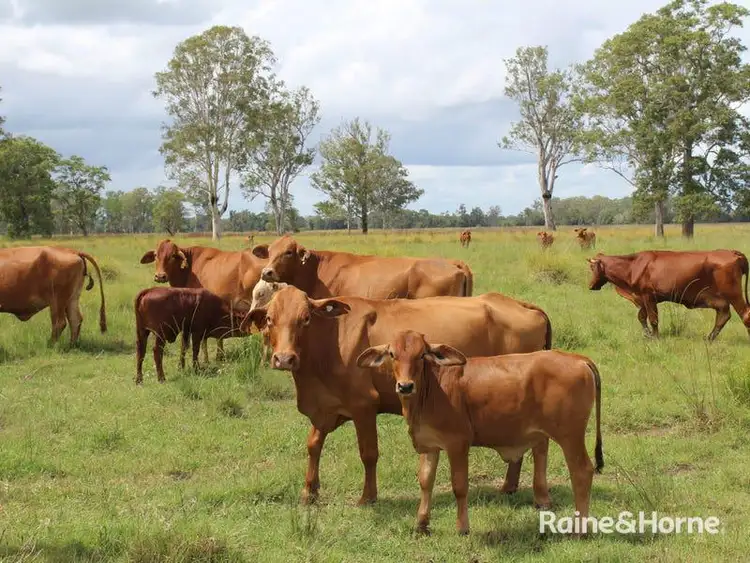 Seventh view of Homely rural property listing, 75 Johnsons Road, Yorklea NSW 2470