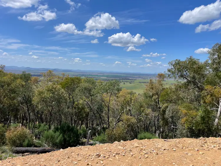 Fifth view of Homely rural property listing, 100 High Street, Tambar Springs NSW 2381