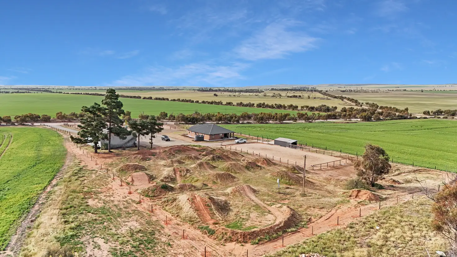 Main view of Homely house listing, 329 Fidge Road, Hamley Bridge SA 5401