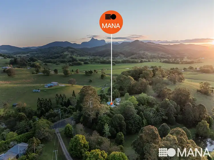 Second view of Homely house listing, 121 Blackwoods Road, Nobbys Creek NSW 2484