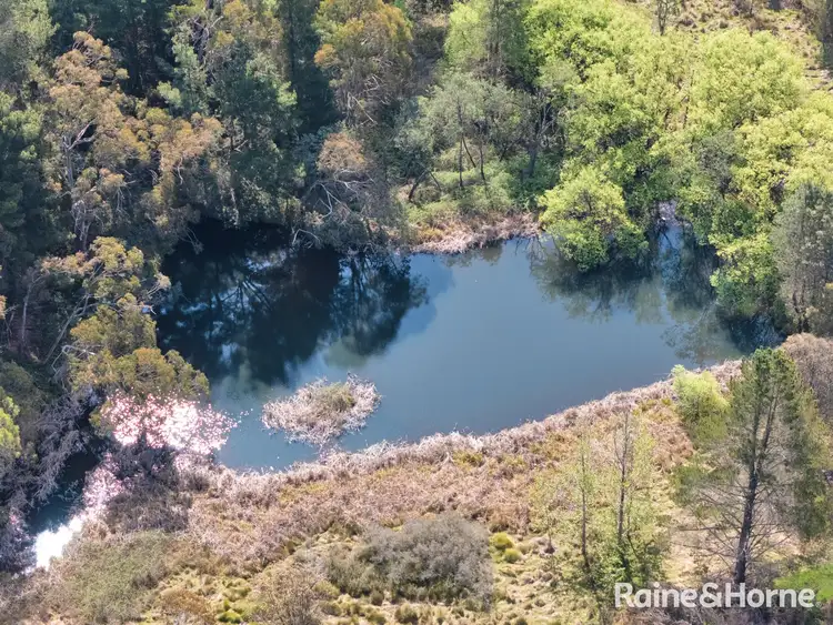 Second view of Homely rural property listing, 141 Sunny Corner Road, Kirkconnell NSW 2795