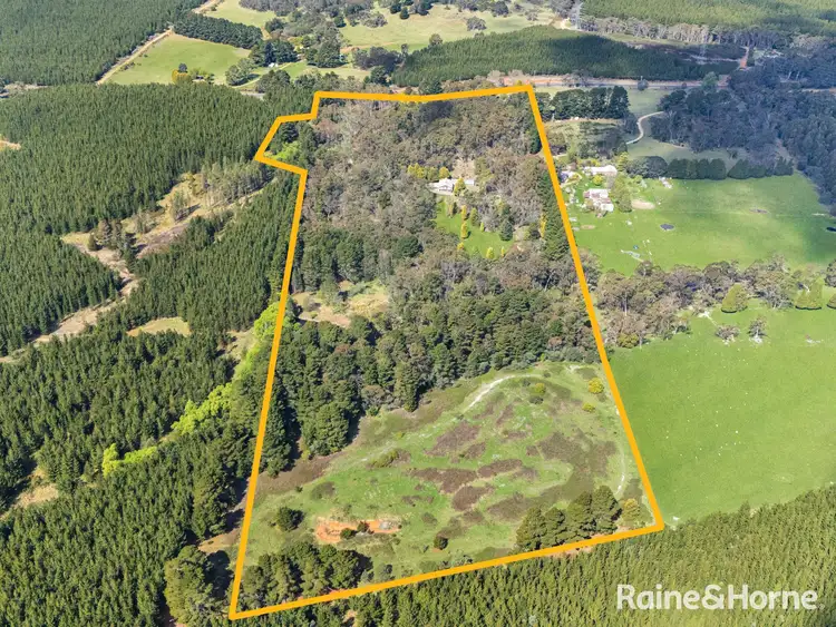 Third view of Homely rural property listing, 141 Sunny Corner Road, Kirkconnell NSW 2795