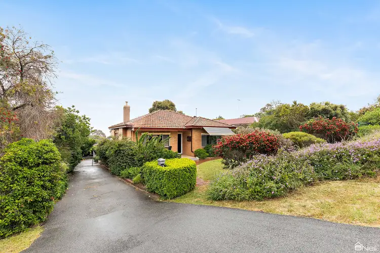 17 Tredale Avenue, Mount Richon WA 6112